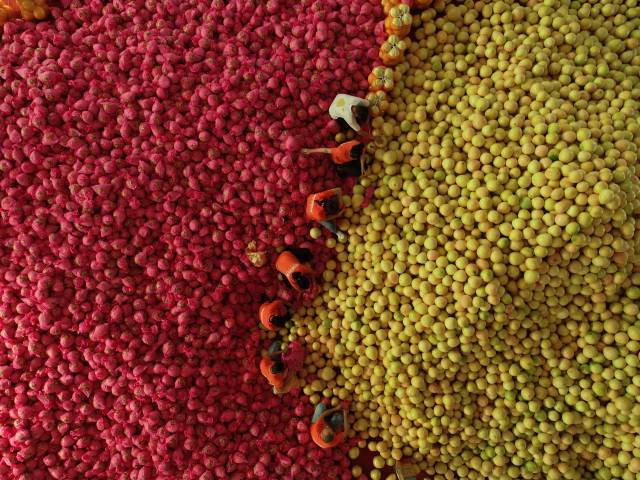 南方农村报 樊静东 制图