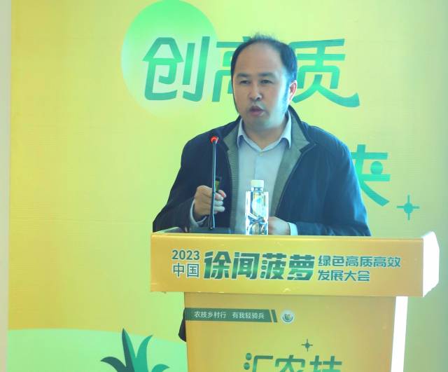 菠萝“1223”种植新模式，值得收藏│高质高效种菠萝③