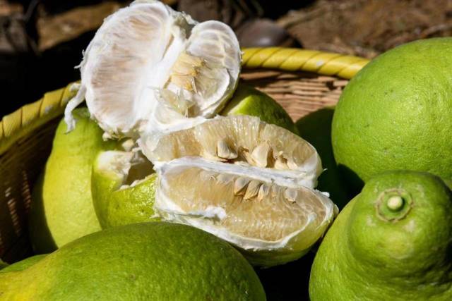 南方农村报 樊静东 制图