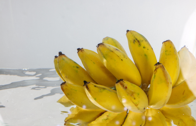 南方农村报 樊静东 制图