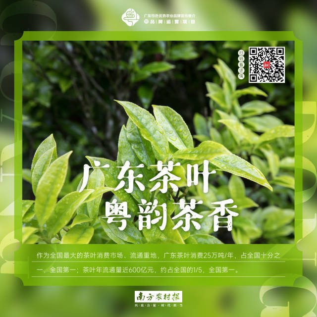 南方农村报 樊静东 制图