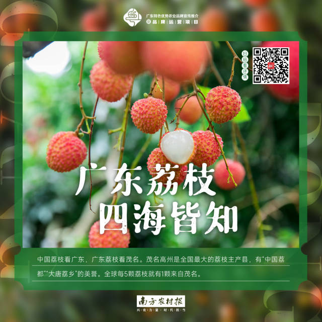 南方农村报 樊静东 制图