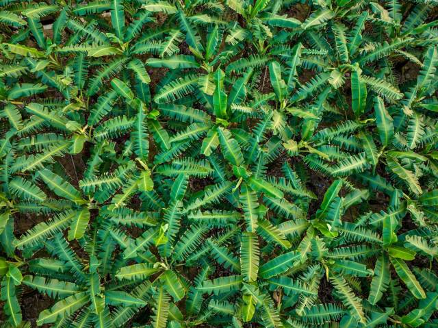 南方农村报 樊静东 制图