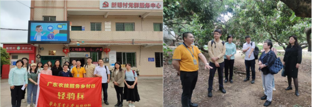 华南农业大学荔枝“轻骑兵”团队深入新明村的田间地头。高洁珊摄