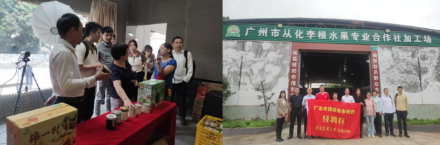 锦一村农产品直播基地参观（左），李根水果专业合作社加工场调研（右）。高洁珊摄