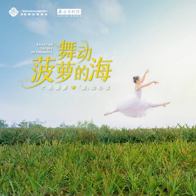 南方农村报 樊静东 制图