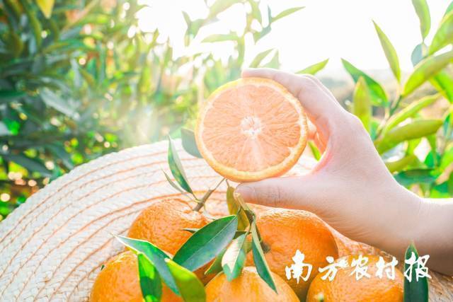 潮汕人拜年，互换“大吉”。