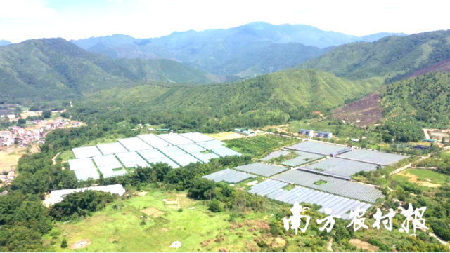 连平县麒麟山现代农业生态园。