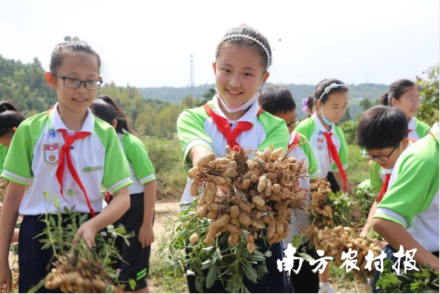 南方农村报 陈志深 拍摄