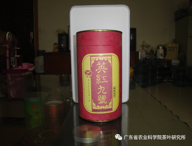 茶科所1999年首次以英紅九號(hào)為產(chǎn)品名推出市場(chǎng)