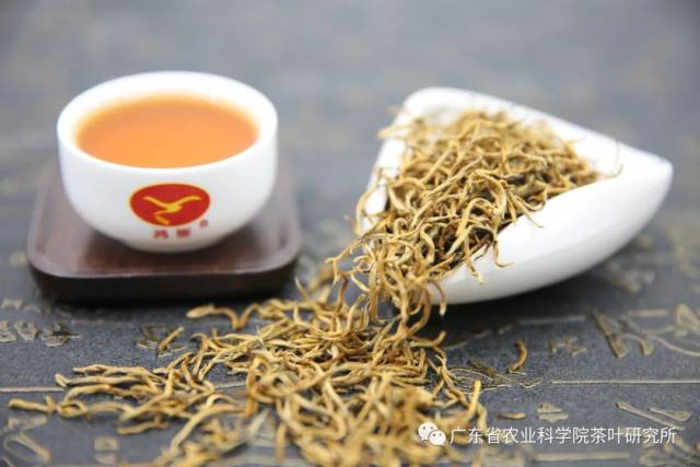 英紅九號(hào)金毫茶