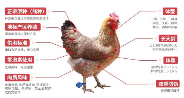 圖片來源：廣東愛健康生物科技有限公司