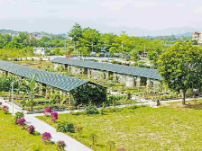 ”百千万工程“指挥部揭牌 | 一文速览《南方日报·电白视窗》119期