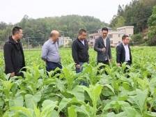 驻平远县八尺镇帮镇扶村工作队：强化基层党建 有序推进帮扶工作