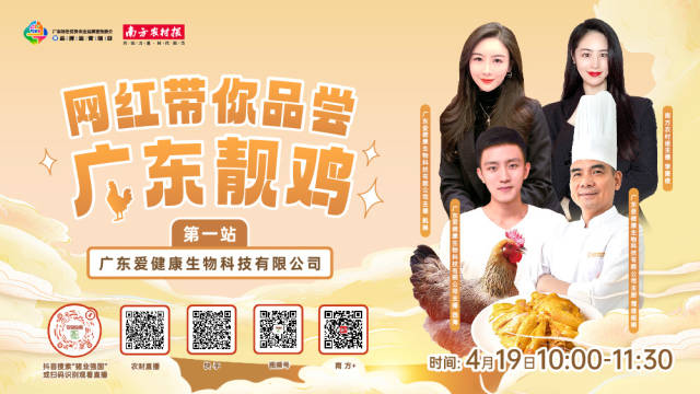 优质清远麻鸡是如何炼成的？4月19日，网红带你探秘籍，品靓鸡，尝口感！