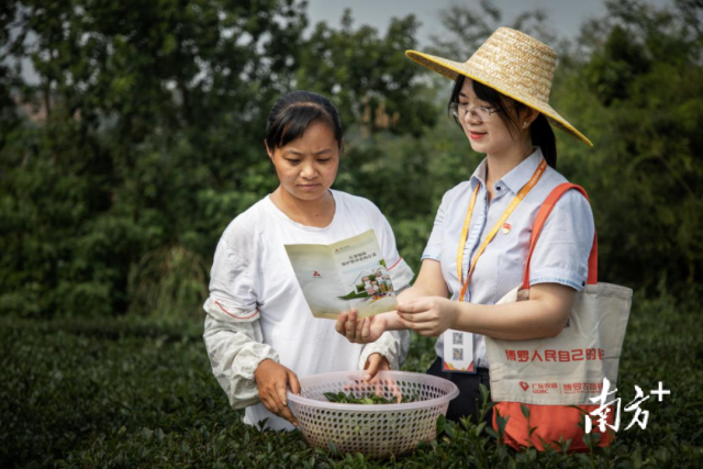 博羅農(nóng)商行將普惠金融送到田間地頭