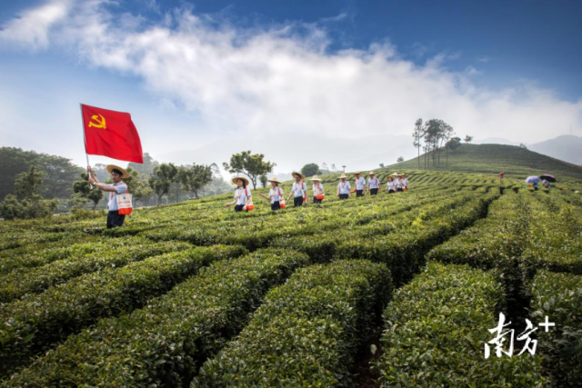 “茶悅貸”助力柏塘山茶高質(zhì)量發(fā)展