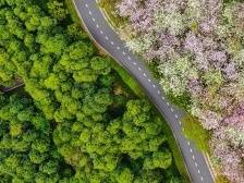 习近平总书记在广东视察时的重要讲话在全省统战系统和统一战线广大成员中引发热烈反响