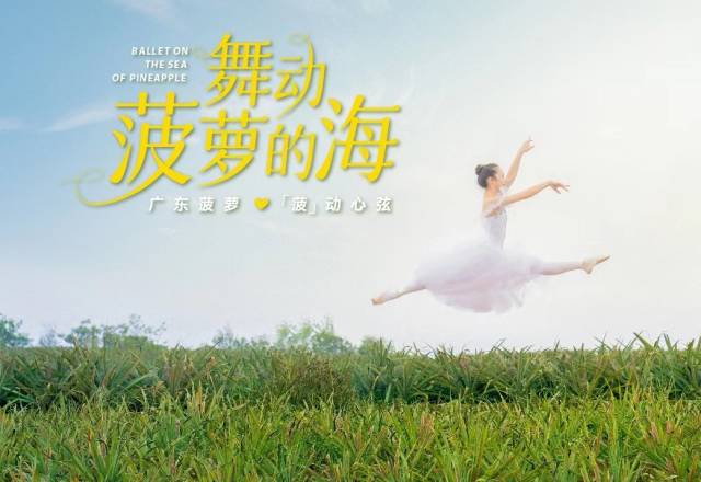 舞動菠蘿的海