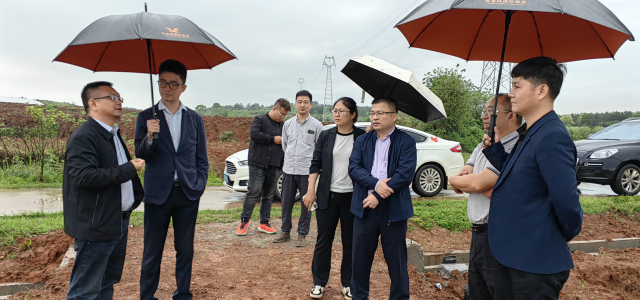 专家团队在丰城市董家镇介山村的数字种业项目基地现场。