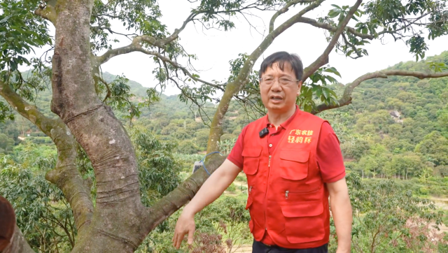 國家荔枝龍眼產(chǎn)業(yè)技術(shù)體系崗位科學(xué)家,、華南農(nóng)業(yè)大學(xué)教授李建國