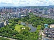 红芯十事·基础教育|宝安燕罗邀名师为初三学子做升学辅导