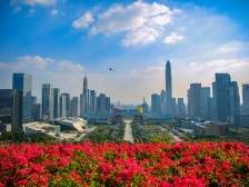 习近平总书记在广东视察时的重要讲话在广东侨界引起热烈反响