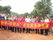 保果防病蟲！荔枝管理關(guān)鍵期,，成敗在此一舉丨輕騎兵田頭課
