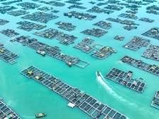 树立大食物观，建设海上牧场——七论学习贯彻习近平总书记视察广东重要讲话重要指示精神