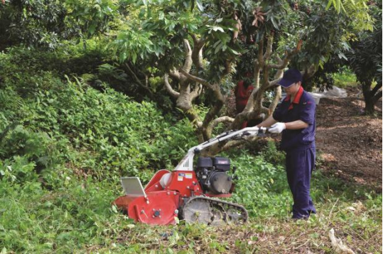 手扶履带式除草机，型号为3SSLZ-550/3SSLZ-800