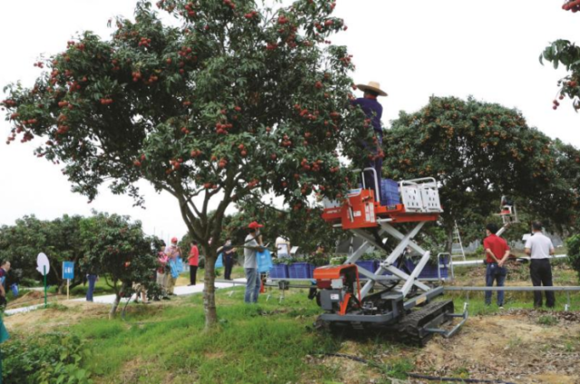 履带自走式果园作业平台，型号为3GPD-210