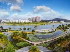 深圳市宝安区燕罗街道：倾听民意认真调查，不断夯实民生之基