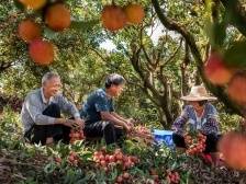 习近平总书记视察广东时的重要讲话在广东基层一线持续引发热烈反响