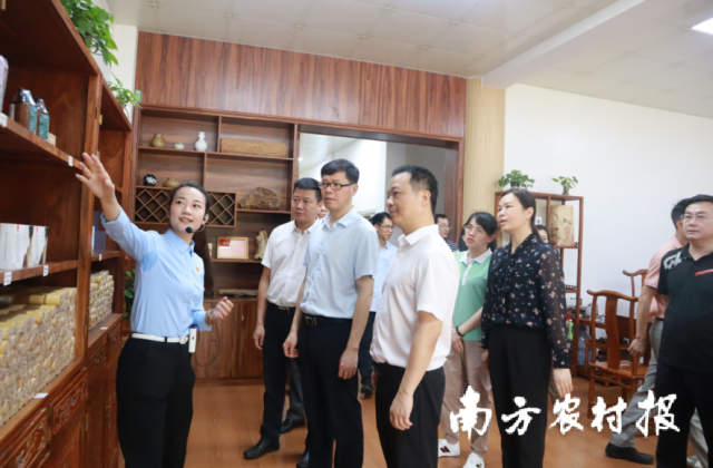 金秀县考察组一行到电白区观珠镇沙垌村沉香街考察沉香产业发展情况。