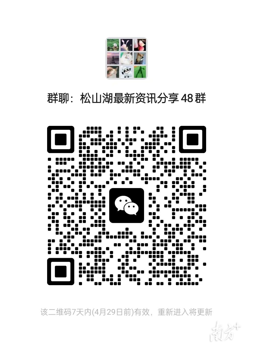 / 南方拍客 黄政正 陈雅靖 供图