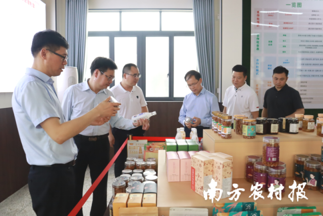 金秀县考察组一行到高州市根子镇柏桥村农创园荔枝产业链考察党委工作情况及合作社建设运行情况。