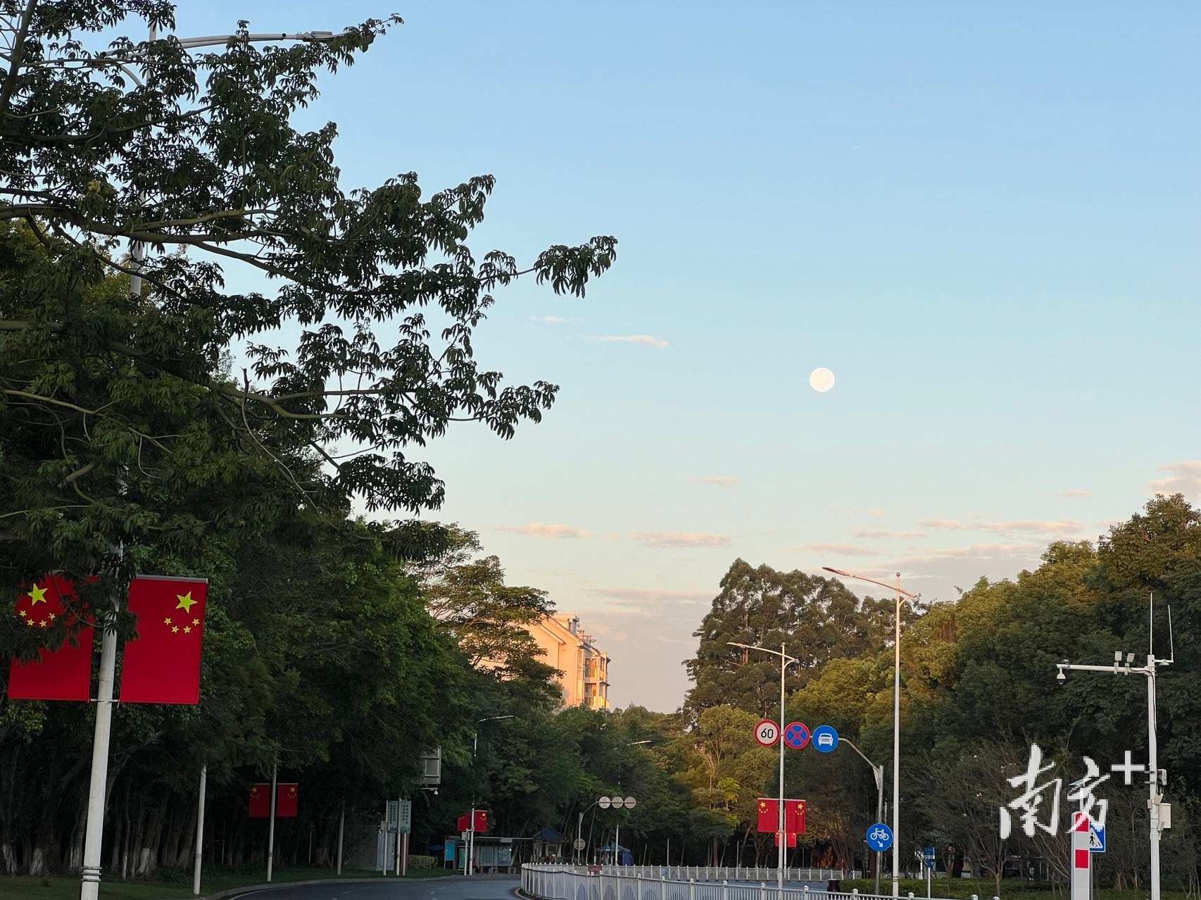 黄蔚玲晨跑时拍摄的晨月。 受访者 供图 黄蔚玲晨跑时拍摄的晨月。 受访者 供图