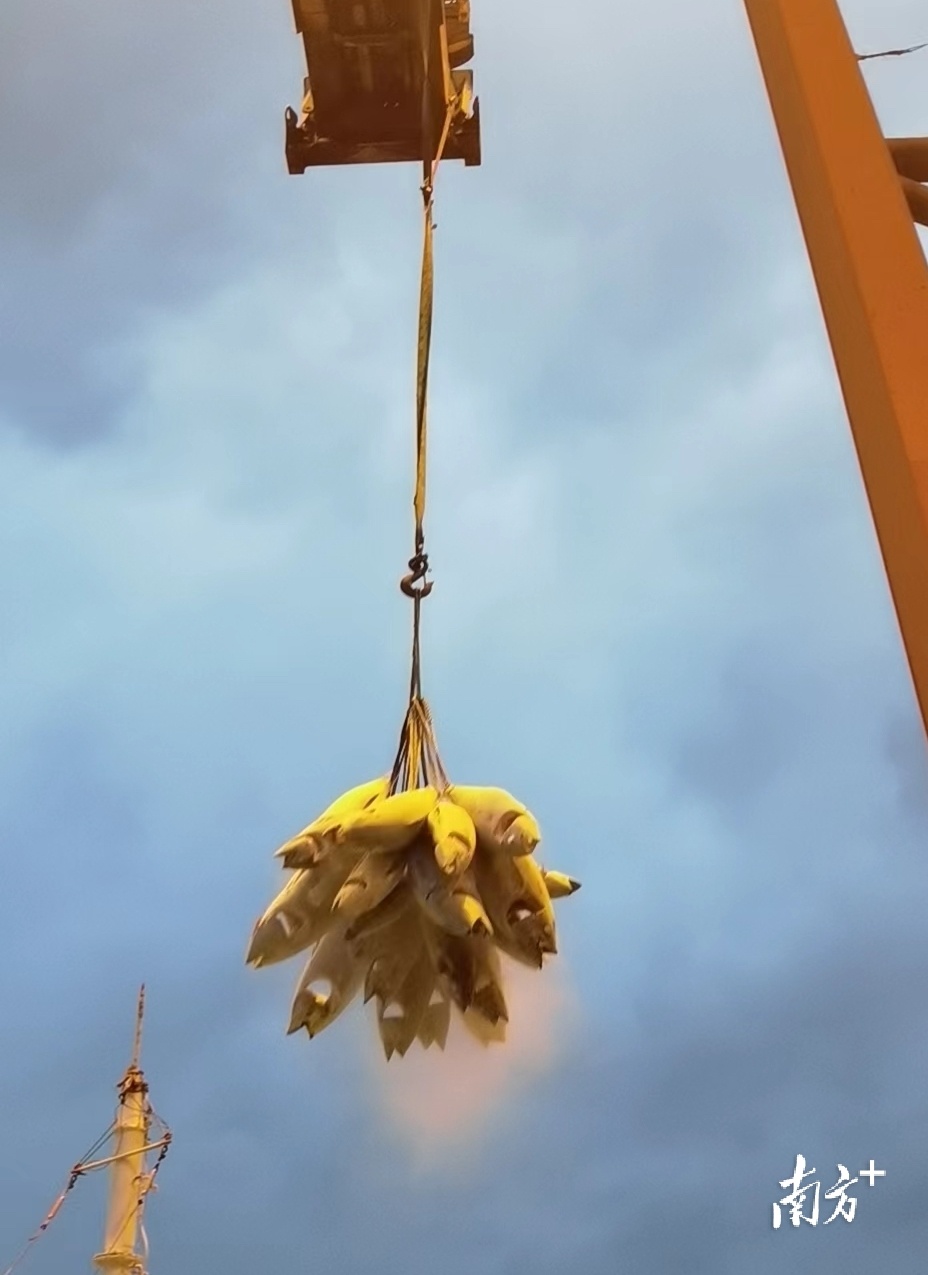    南方+ 何俊 拍摄