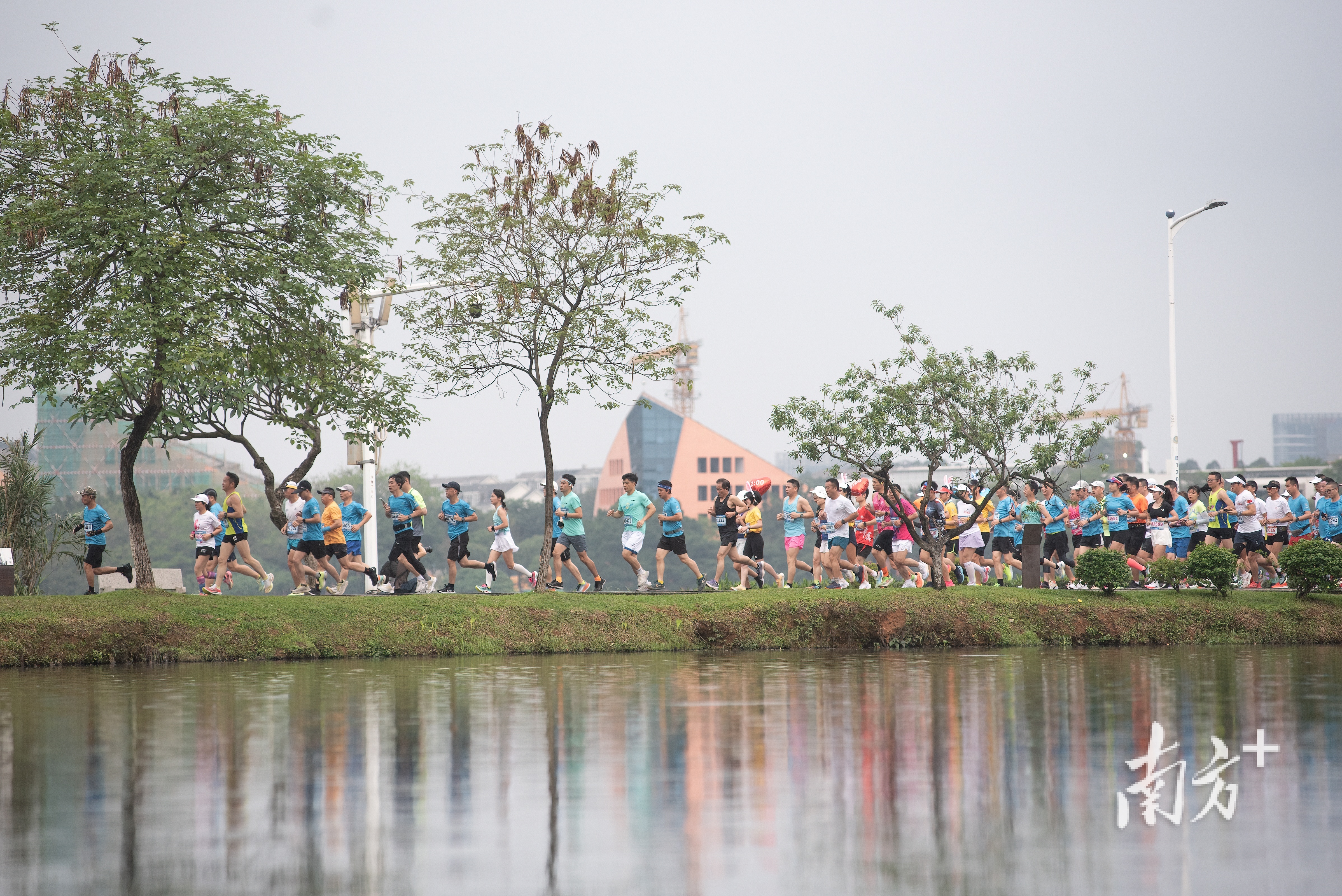 李辉 摄 李辉 摄