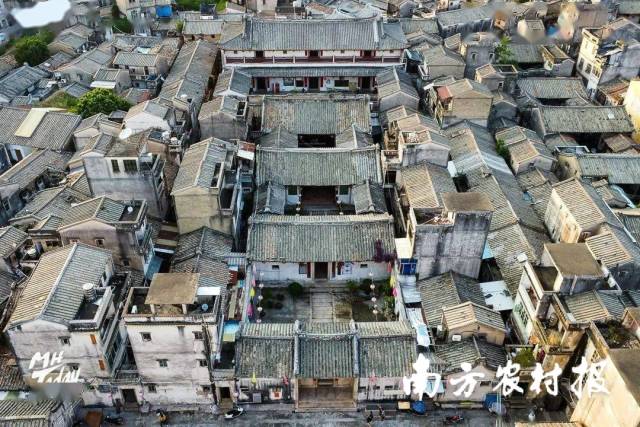 郭氏大楼  南方农村报 陈静 拍摄