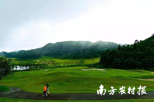 南方农村报 陈静 拍摄