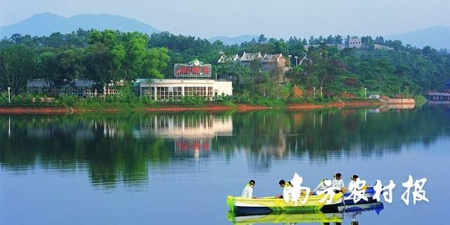 南方农村报 陈静 拍摄