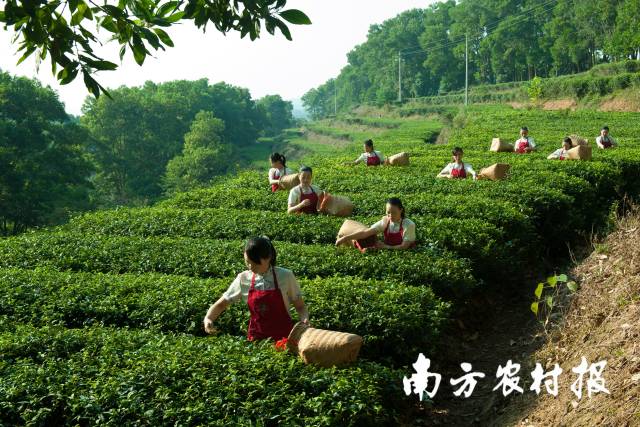 受訪者供圖