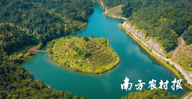 受訪者供圖