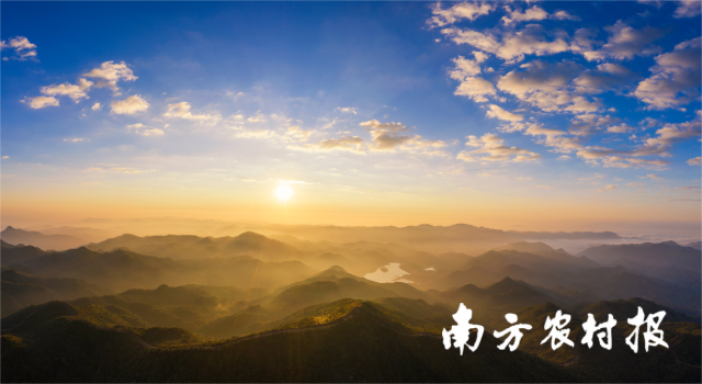 受訪者供圖
