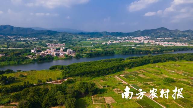 南方农村报 陈静 拍摄