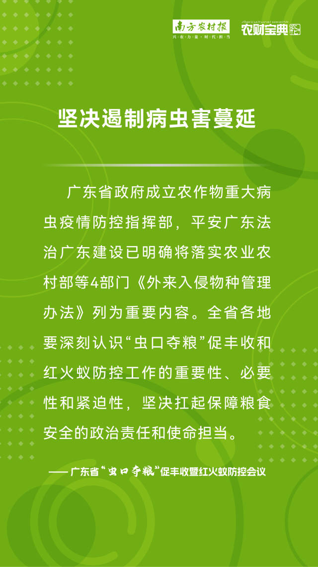 划重点啦！广东“虫口夺粮”促丰收暨红火蚁防控要点发布