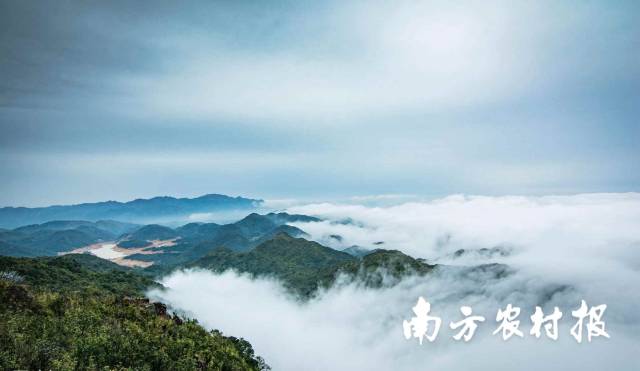 南方农村报 陈静 拍摄