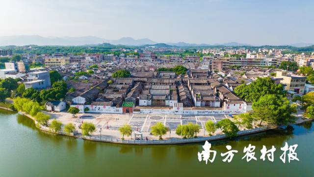 南方农村报 陈静 拍摄