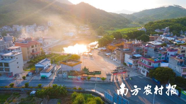 南方农村报 陈静 拍摄